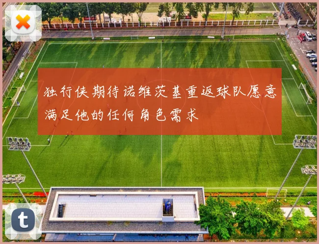 独行侠期待诺维茨基重返球队愿意满足他的任何角色需求