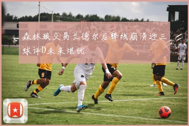 森林狼交易兰德尔后锋线崩溃迎三球评D未来堪忧
