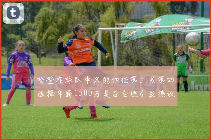 哈登在球队中只能担任第三或第四选择年薪1500万是否合理引发热议